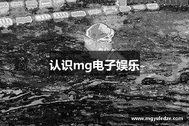 认识mg电子娱乐